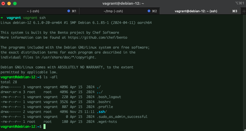 Vagrant ssh to connect to VPS